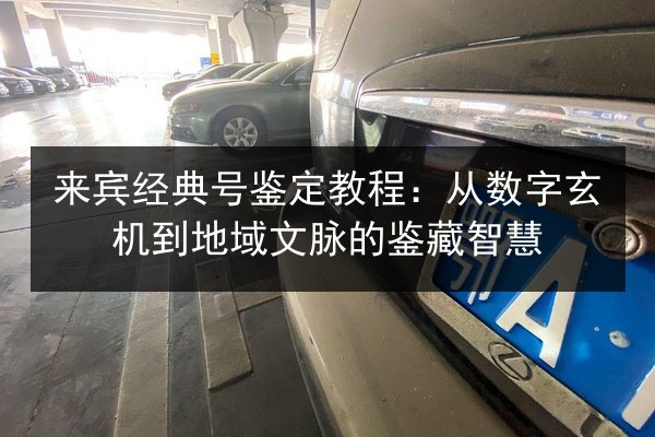 来宾经典号鉴定教程：从数字玄机到地域文脉的鉴藏智慧 第3张
