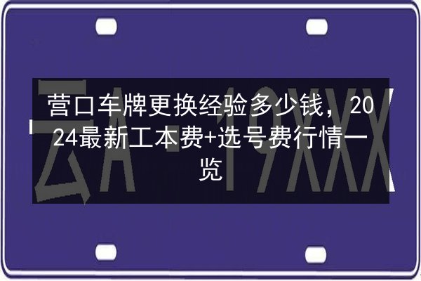 营口车牌更换经验多少钱，2024最新工本费+选号费行情一览