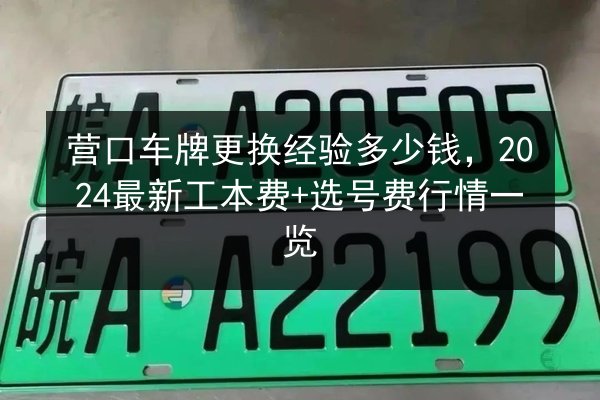 营口车牌更换经验多少钱,2024最新工本费+选号费行情一览 第3张 营口车牌更换经验多少钱,2024最新工本费+选号费行情一览 第3张