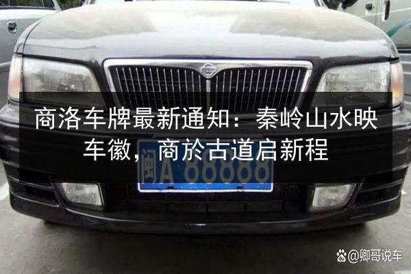 商洛车牌最新通知:秦岭山水映车徽,商於古道启新程 第2张 商洛车牌最新通知:秦岭山水映车徽,商於古道启新程 第2张