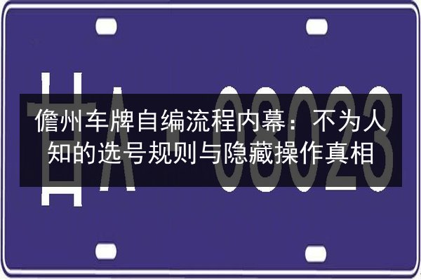 儋州车牌自编流程内幕：不为人知的选号规则与隐藏操作真相