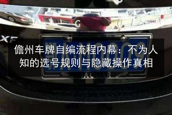 儋州车牌自编流程内幕：不为人知的选号规则与隐藏操作真相 第3张