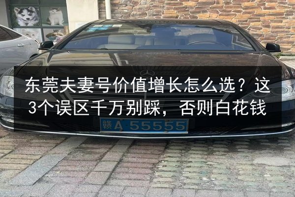 东莞夫妻号价值增长怎么选?这3个误区千万别踩,否则白花钱 第3张 东莞夫妻号价值增长怎么选?这3个误区千万别踩,否则白花钱 第3张