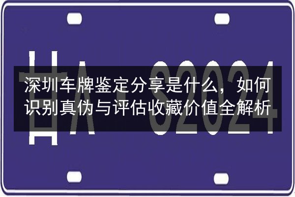 深圳车牌鉴定分享是什么,如何识别真伪与评估收藏价值全解析 第1张 深圳车牌鉴定分享是什么,如何识别真伪与评估收藏价值全解析 第1张