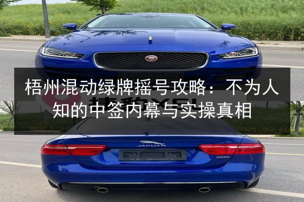 梧州混动绿牌摇号攻略：不为人知的中签内幕与实操真相