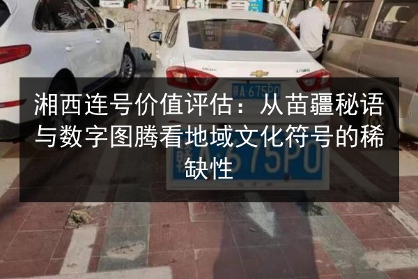 湘西连号价值评估:从苗疆秘语与数字图腾看地域文化符号的稀缺性 第3张 湘西连号价值评估:从苗疆秘语与数字图腾看地域文化符号的稀缺性 第3张