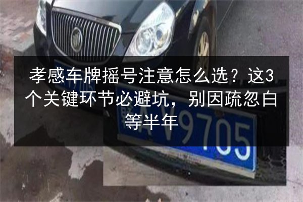 孝感车牌摇号注意怎么选？这3个关键环节必避坑，别因疏忽白等半年