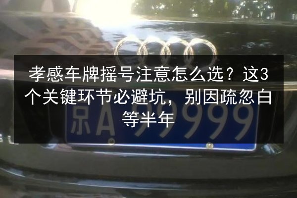 孝感车牌摇号注意怎么选?这3个关键环节必避坑,别因疏忽白等半年 第2张 孝感车牌摇号注意怎么选?这3个关键环节必避坑,别因疏忽白等半年 第2张