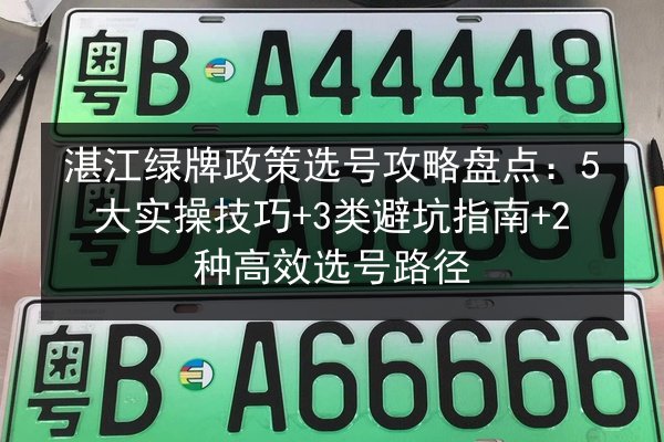 湛江绿牌政策选号攻略盘点：5大实操技巧+3类避坑指南+2种高效选号路径