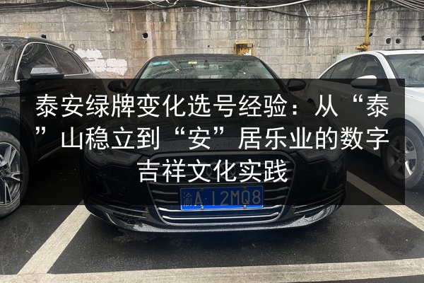 泰安绿牌变化选号经验：从“泰”山稳立到“安”居乐业的数字吉祥文化实践
