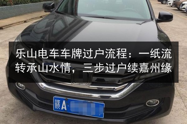乐山电车车牌过户流程：一纸流转承山水情，三步过户续嘉州缘 第2张
