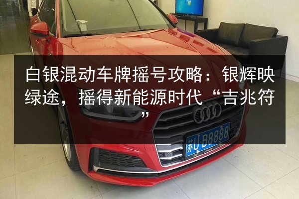 白银混动车牌摇号攻略：银辉映绿途，摇得新能源时代“吉兆符”