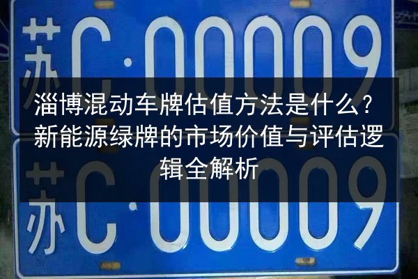 淄博混动车牌估值方法是什么？新能源绿牌的市场价值与评估逻辑全解析 第2张