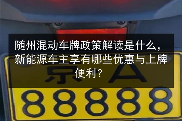 随州混动车牌政策解读是什么，新能源车主享有哪些优惠与上牌便利？