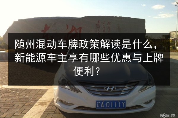 随州混动车牌政策解读是什么，新能源车主享有哪些优惠与上牌便利？ 第2张