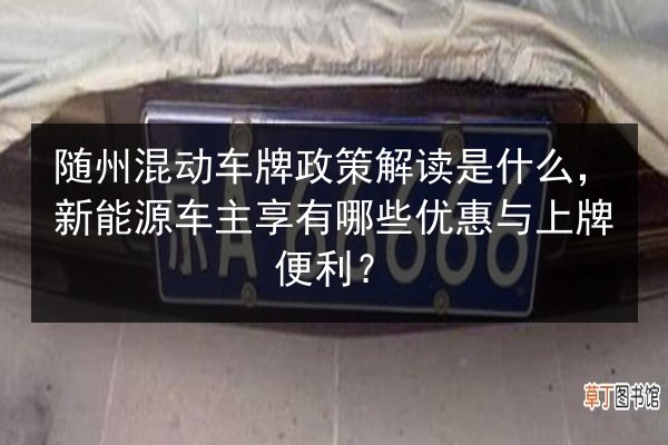 随州混动车牌政策解读是什么，新能源车主享有哪些优惠与上牌便利？ 第3张