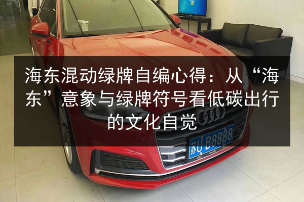 海东混动绿牌自编心得：从“海东”意象与绿牌符号看低碳出行的文化自觉 第2张