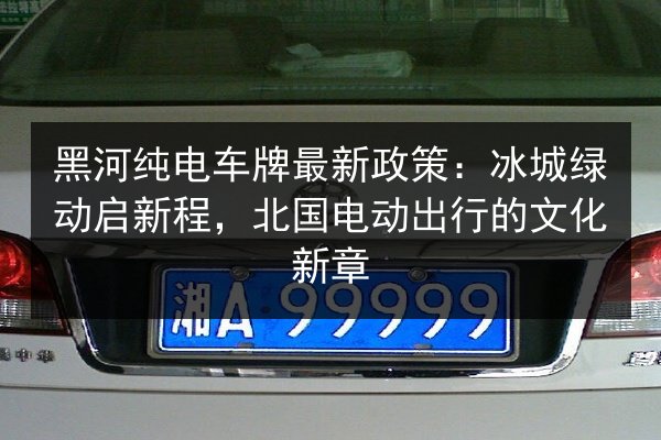 黑河纯电车牌最新政策:冰城绿动启新程,北国电动出行的文化新章 第3张 黑河纯电车牌最新政策:冰城绿动启新程,北国电动出行的文化新章 第3张