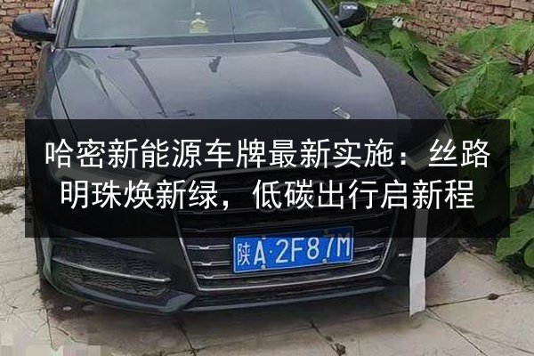 哈密新能源车牌最新实施：丝路明珠焕新绿，低碳出行启新程 第3张