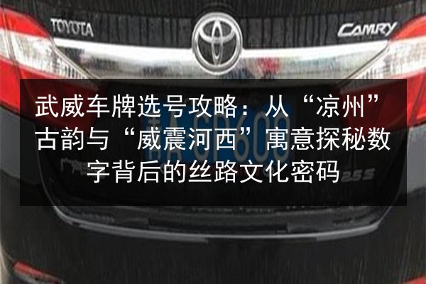 武威车牌选号攻略：从“凉州”古韵与“威震河西”寓意探秘数字背后的丝路文化密码 第3张