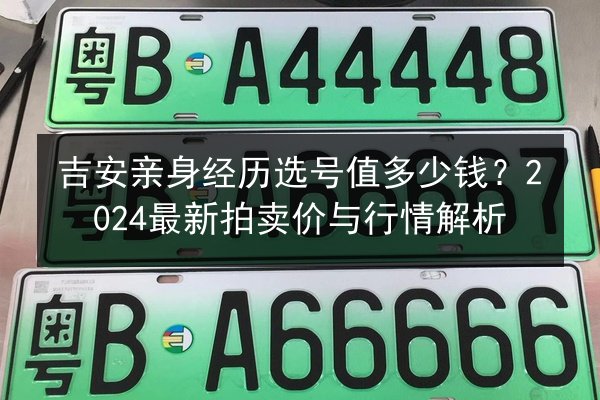 吉安亲身经历选号值多少钱？2024最新拍卖价与行情解析 第2张