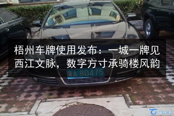 梧州车牌使用发布：一城一牌见西江文脉，数字方寸承骑楼风韵 第3张