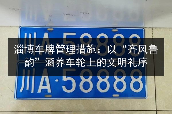 淄博车牌管理措施：以“齐风鲁韵”涵养车轮上的文明礼序 第2张