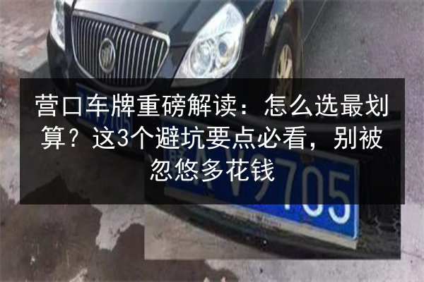 营口车牌重磅解读：怎么选最划算？这3个避坑要点必看，别被忽悠多花钱 第2张