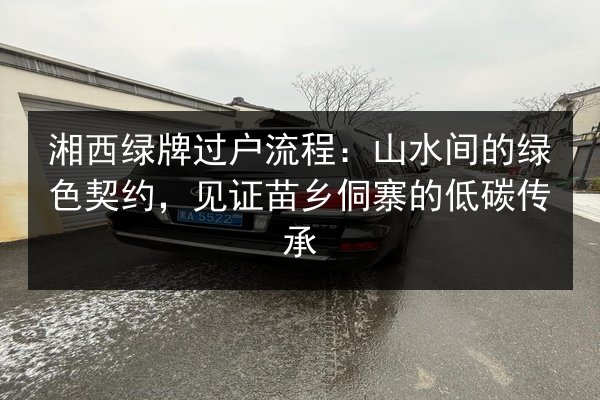 湘西绿牌过户流程：山水间的绿色契约，见证苗乡侗寨的低碳传承