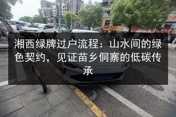 湘西绿牌过户流程：山水间的绿色契约，见证苗乡侗寨的低碳传承 第2张