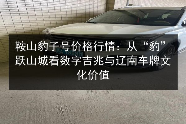 鞍山豹子号价格行情：从“豹”跃山城看数字吉兆与辽南车牌文化价值