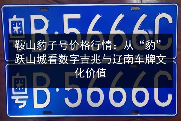 鞍山豹子号价格行情：从“豹”跃山城看数字吉兆与辽南车牌文化价值 第2张