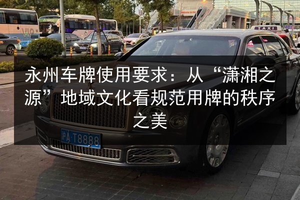 永州车牌使用要求:从“潇湘之源”地域文化看规范用牌的秩序之美 第1张 永州车牌使用要求:从“潇湘之源”地域文化看规范用牌的秩序之美 第1张
