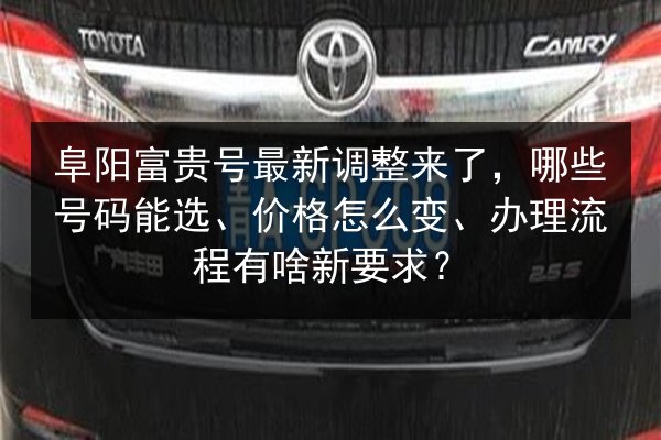 阜阳富贵号最新调整来了，哪些号码能选、价格怎么变、办理流程有啥新要求？