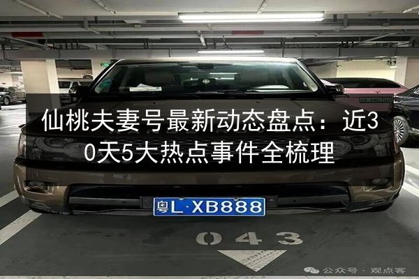 仙桃夫妻号最新动态盘点:近30天5大热点事件全梳理 第2张 仙桃夫妻号最新动态盘点:近30天5大热点事件全梳理 第2张