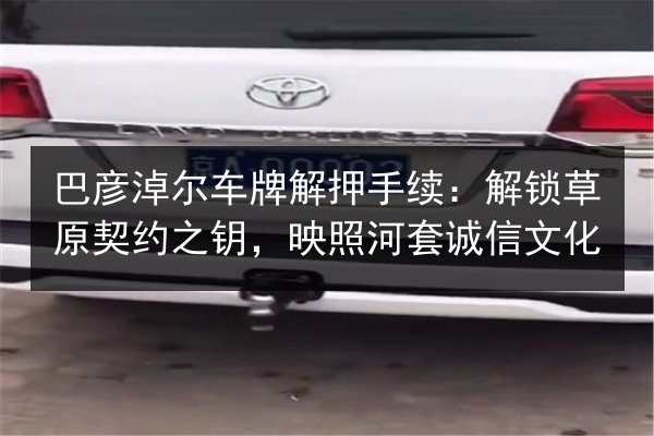 巴彦淖尔车牌解押手续：解锁草原契约之钥，映照河套诚信文化