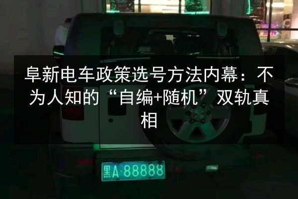 阜新电车政策选号方法内幕：不为人知的“自编+随机”双轨真相