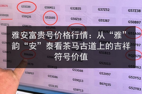 雅安富贵号价格行情:从“雅”韵“安”泰看茶马古道上的吉祥符号价值 第2张 雅安富贵号价格行情:从“雅”韵“安”泰看茶马古道上的吉祥符号价值 第2张