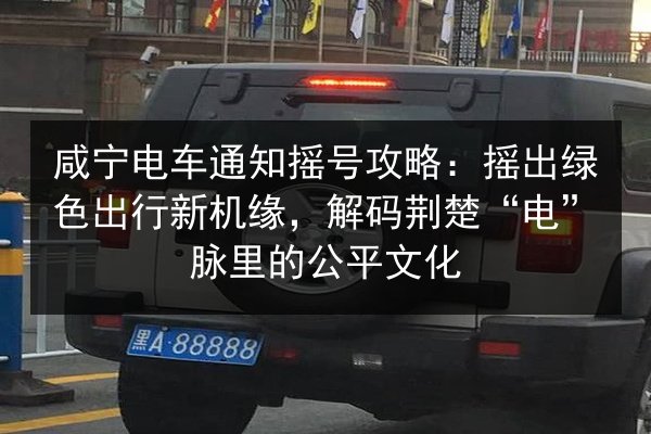 咸宁电车通知摇号攻略：摇出绿色出行新机缘，解码荆楚“电”脉里的公平文化