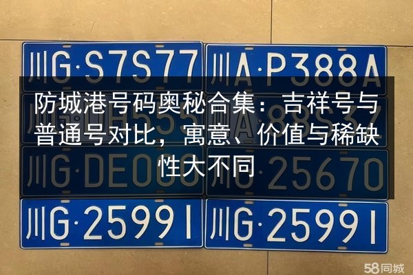 防城港号码奥秘合集：吉祥号与普通号对比，寓意、价值与稀缺性大不同 第2张