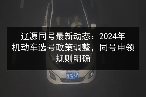 辽源同号最新动态：2024年机动车选号政策调整，同号申领规则明确