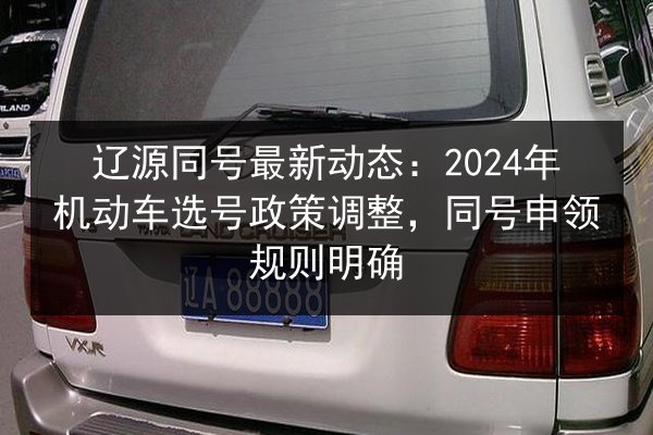辽源同号最新动态:2024年机动车选号政策调整,同号申领规则明确 第3张 辽源同号最新动态:2024年机动车选号政策调整,同号申领规则明确 第3张