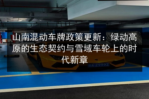 山南混动车牌政策更新：绿动高原的生态契约与雪域车轮上的时代新章 第2张