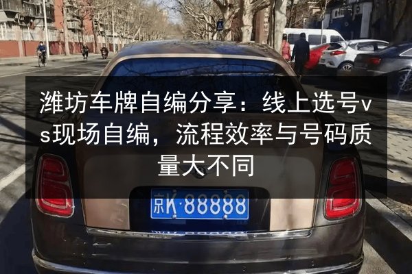 潍坊车牌自编分享：线上选号vs现场自编，流程效率与号码质量大不同 第3张