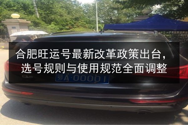 合肥旺运号最新改革政策出台,选号规则与使用规范全面调整 第3张 合肥旺运号最新改革政策出台,选号规则与使用规范全面调整 第3张