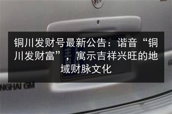 铜川发财号最新公告:谐音“铜川发财富”,寓示吉祥兴旺的地域财脉文化 第1张 铜川发财号最新公告:谐音“铜川发财富”,寓示吉祥兴旺的地域财脉文化 第1张