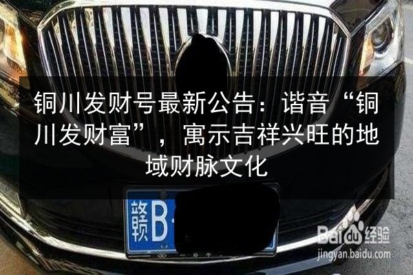 铜川发财号最新公告:谐音“铜川发财富”,寓示吉祥兴旺的地域财脉文化 第3张 铜川发财号最新公告:谐音“铜川发财富”,寓示吉祥兴旺的地域财脉文化 第3张