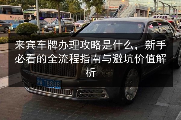 来宾车牌办理攻略是什么，新手必看的全流程指南与避坑价值解析