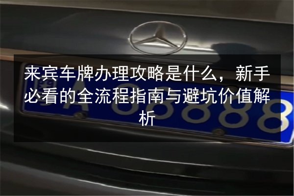 来宾车牌办理攻略是什么，新手必看的全流程指南与避坑价值解析 第2张