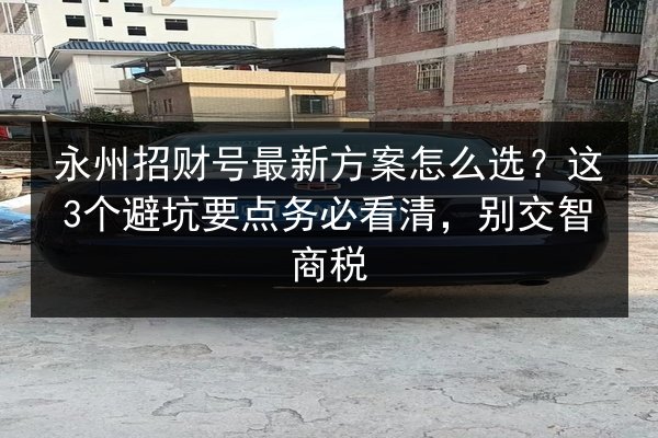 永州招财号最新方案怎么选？这3个避坑要点务必看清，别交智商税